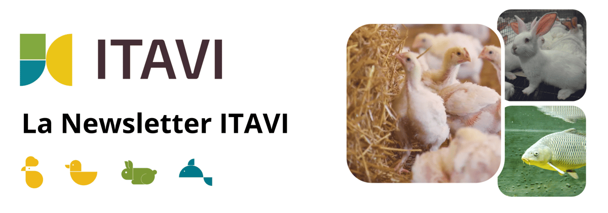 Bandeau header newsletter-1