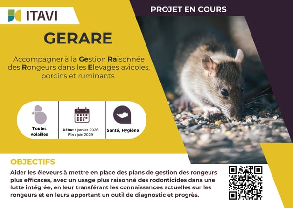 CartePostale GERARE-1