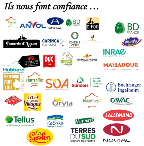 Confiance 1