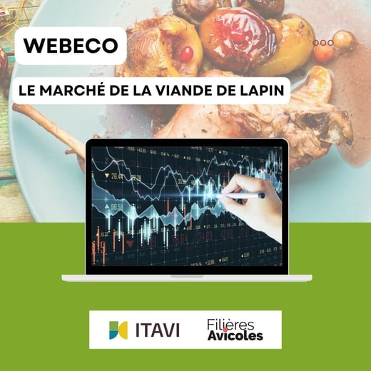 Visuel carrousel WEBECO (1)