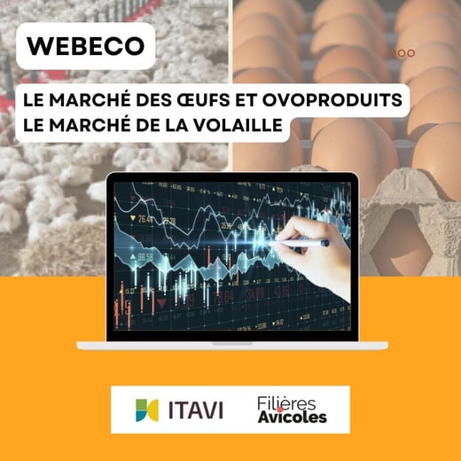 Visuel carrousel WEBECO