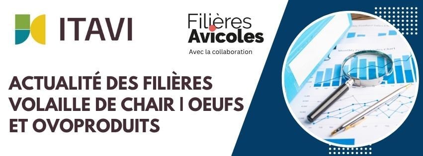 bandeau webeco vdc et pondeuses