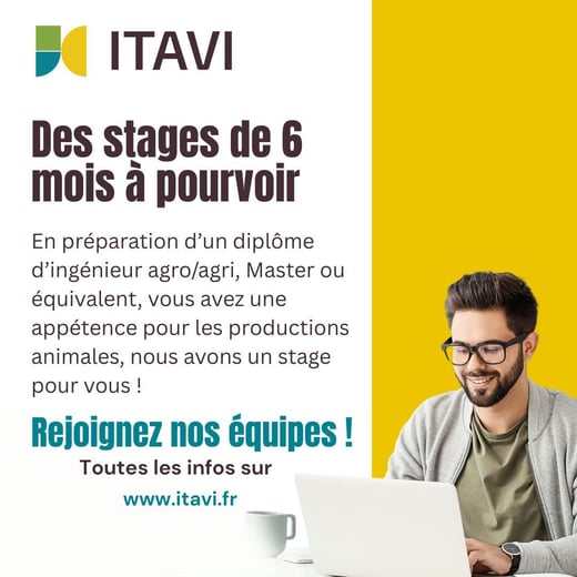 offres stages