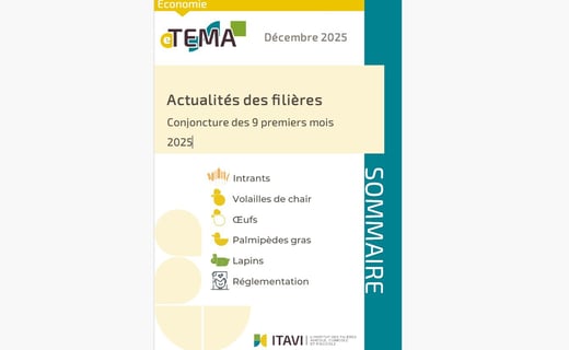 vignette etema2025